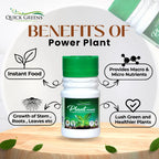 Seaweed Fertilizer Granules