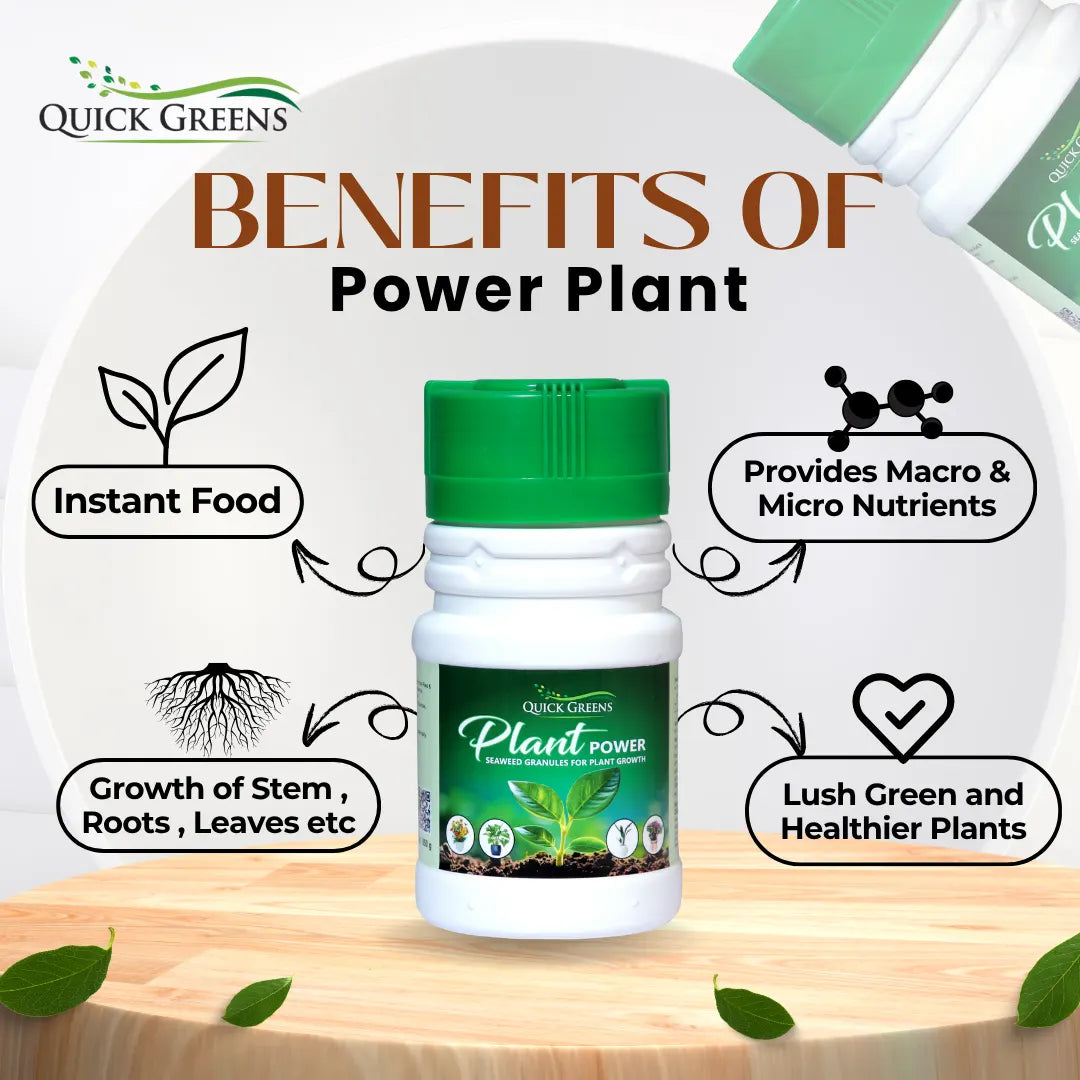 Seaweed Fertilizer Granules