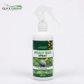 Set of 1 ( 300ML )