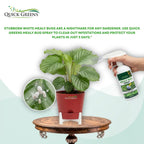 Mealybug (300 ml) Ready to Use Spray