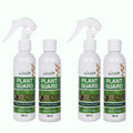 Set of 4 (800ML)