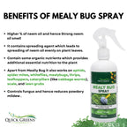 Mealybug (300 ml) Ready to Use Spray