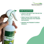 Mealybug (300 ml) Ready to Use Spray