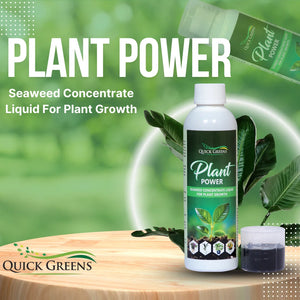 Plant Power Liquid