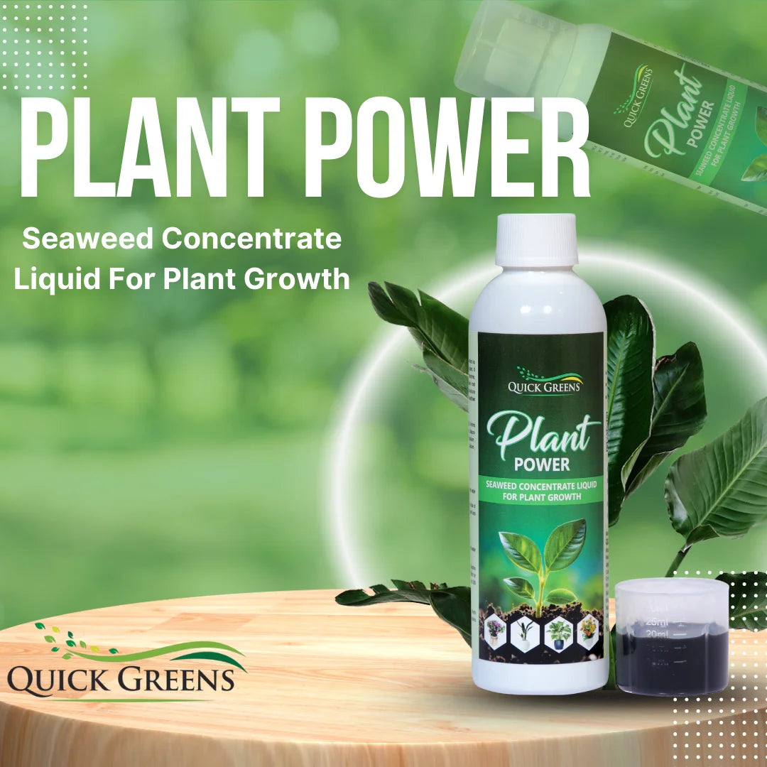Plant Power Liquid