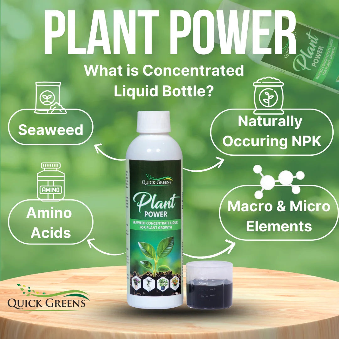 Plant Power Liquid