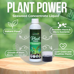 Plant Power Liquid
