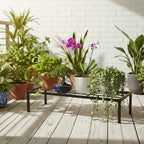 Heavy Duty Metallic Plant Stands