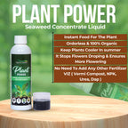 Plant Power Liquid