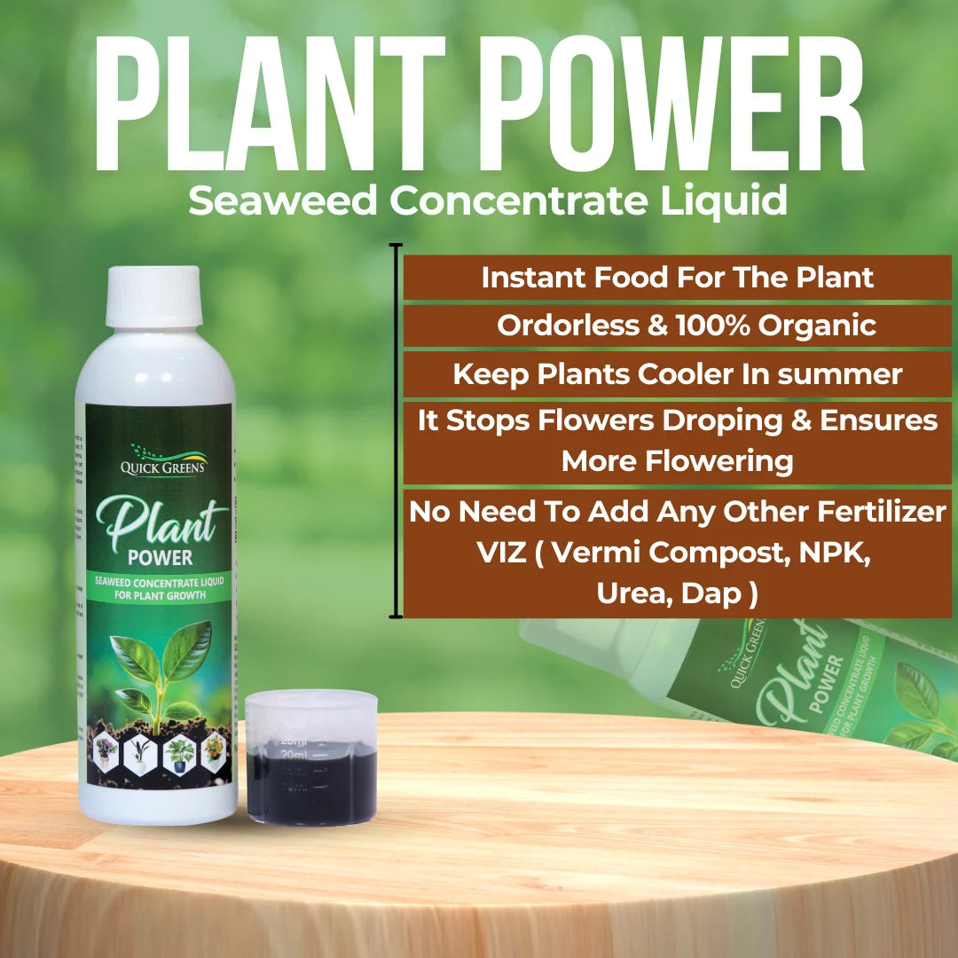 Plant Power Liquid