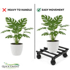 Small Plant Stand with Wheels