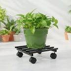 Small Plant Stand with Wheels