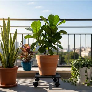 Small Plant Stand with Wheels