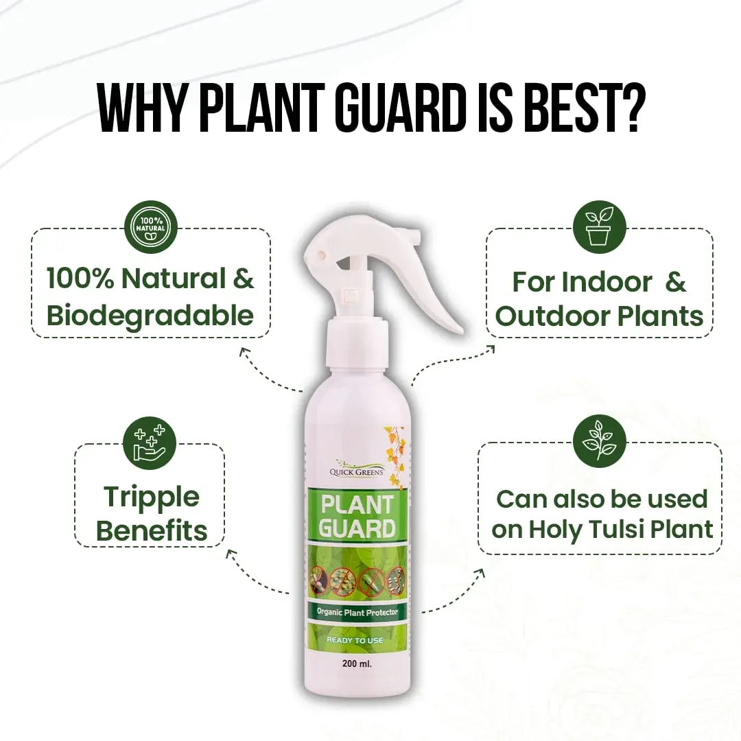 Neem Oil Spray