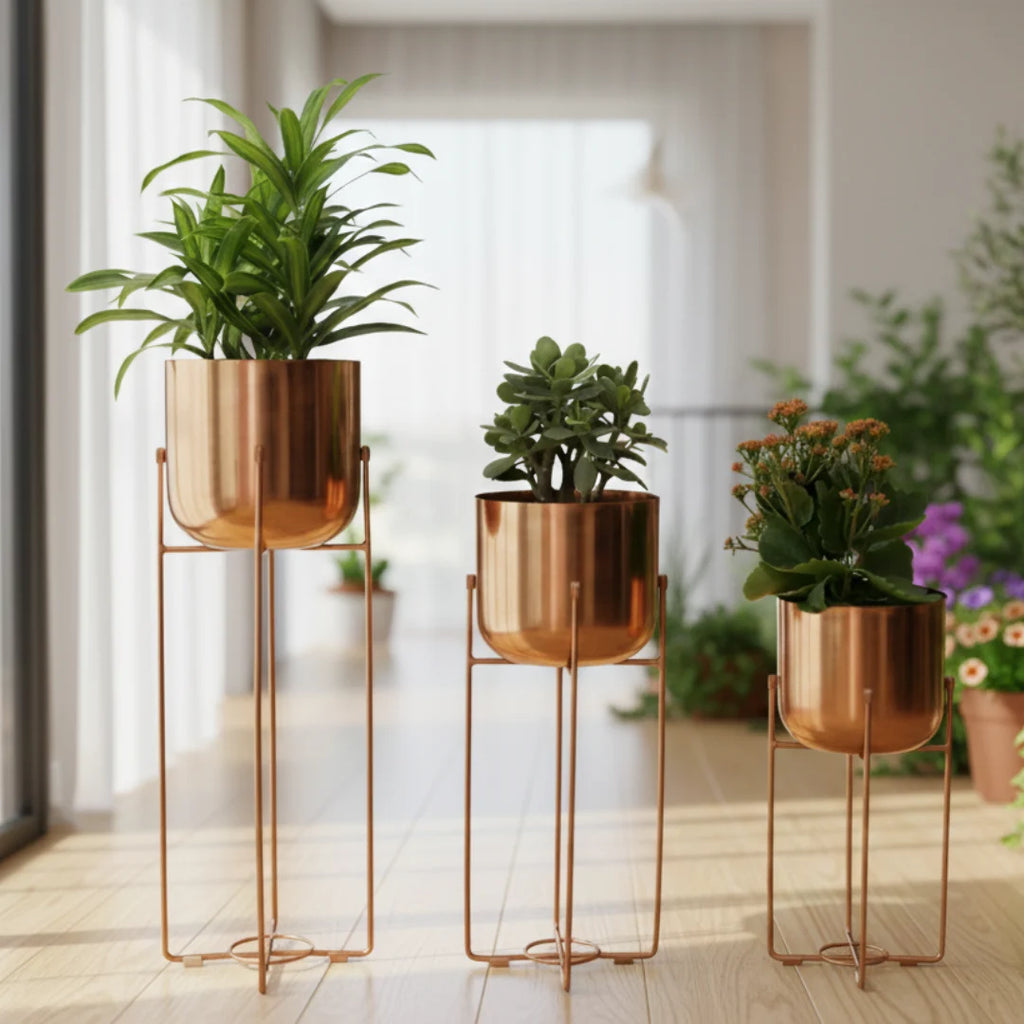 Metal Planters with Stands