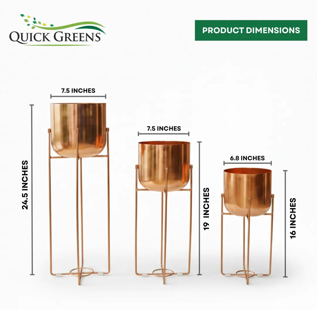 Metal Planters with Stands