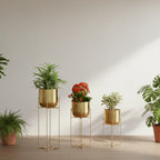 Metal Planters with Stands