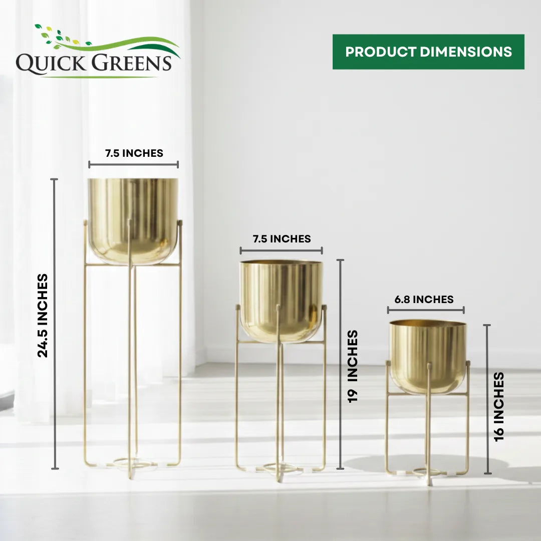 Metal Planters with Stands