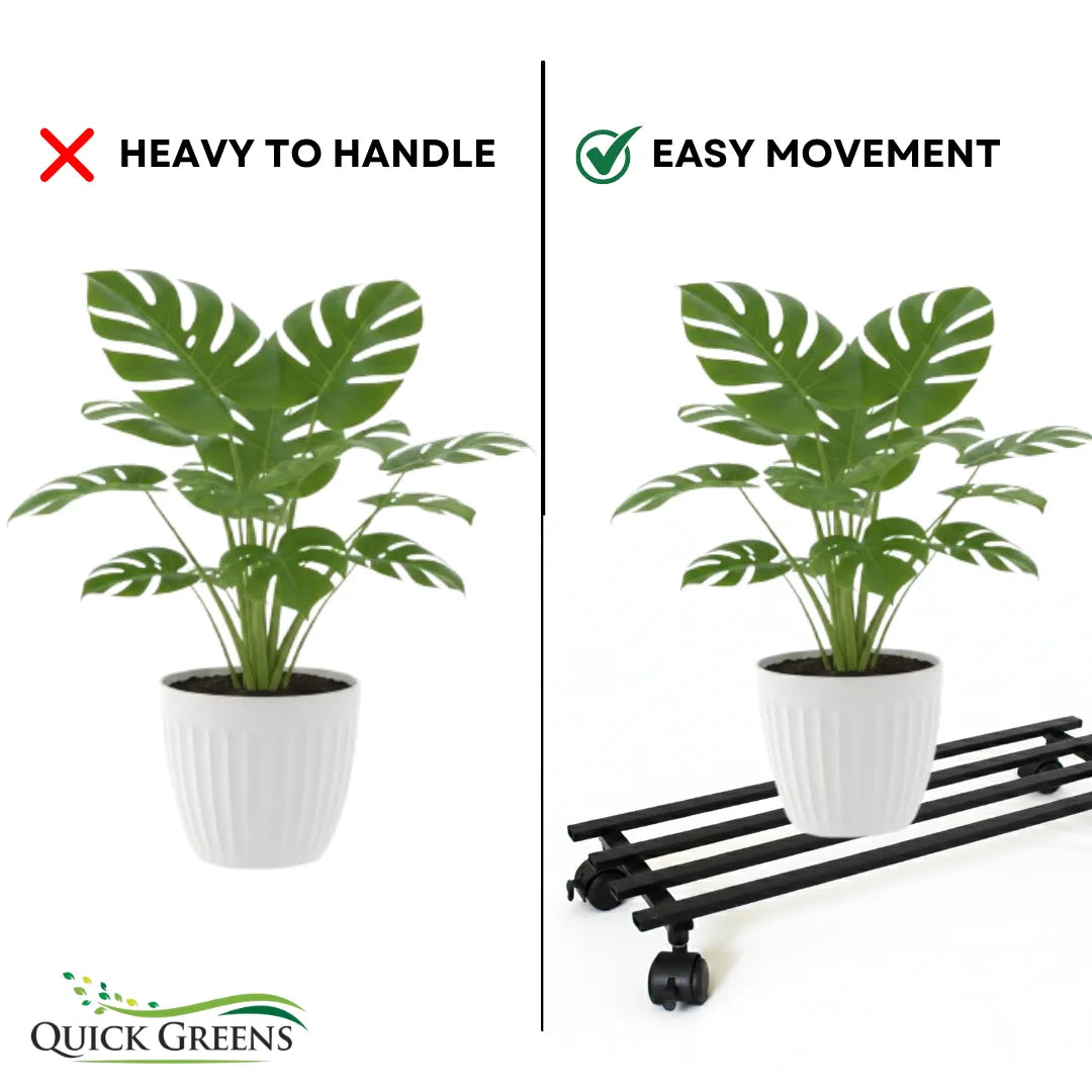 Long Plant Stand with Wheels