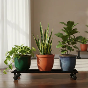 Long Plant Stand with Wheels