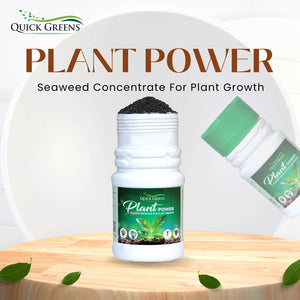 Seaweed Fertilizer Granules