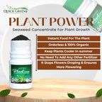Seaweed Fertilizer Granules