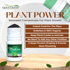 Seaweed Fertilizer Granules