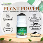 Seaweed Fertilizer Granules