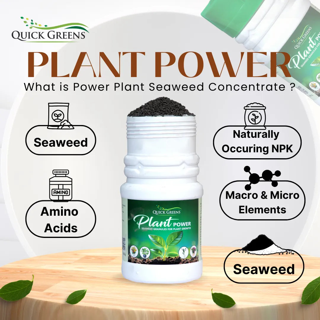 Seaweed Fertilizer Granules