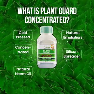 Neem Oil Concentrate