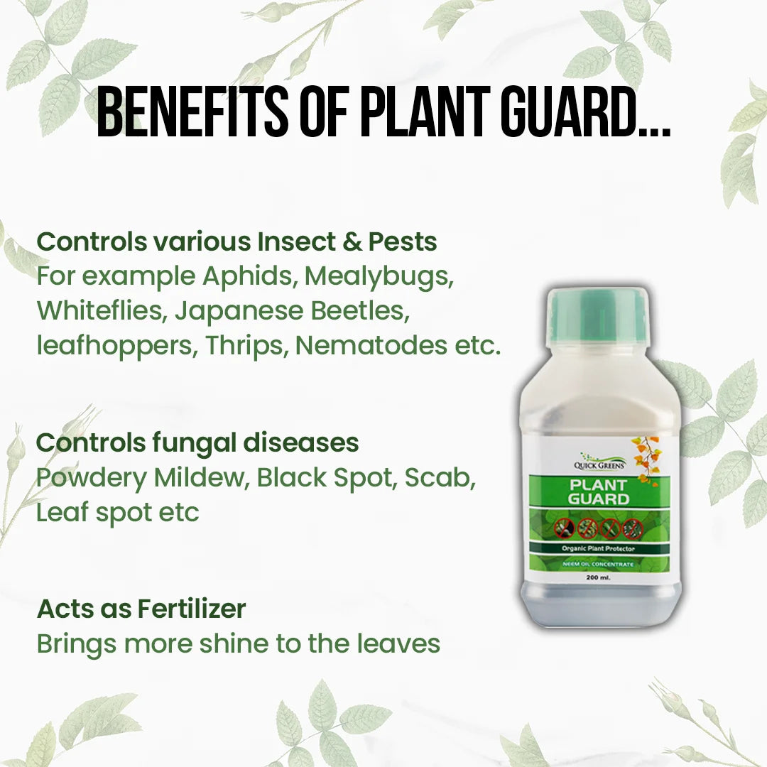 Neem Oil Concentrate