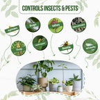 Neem Oil Concentrate