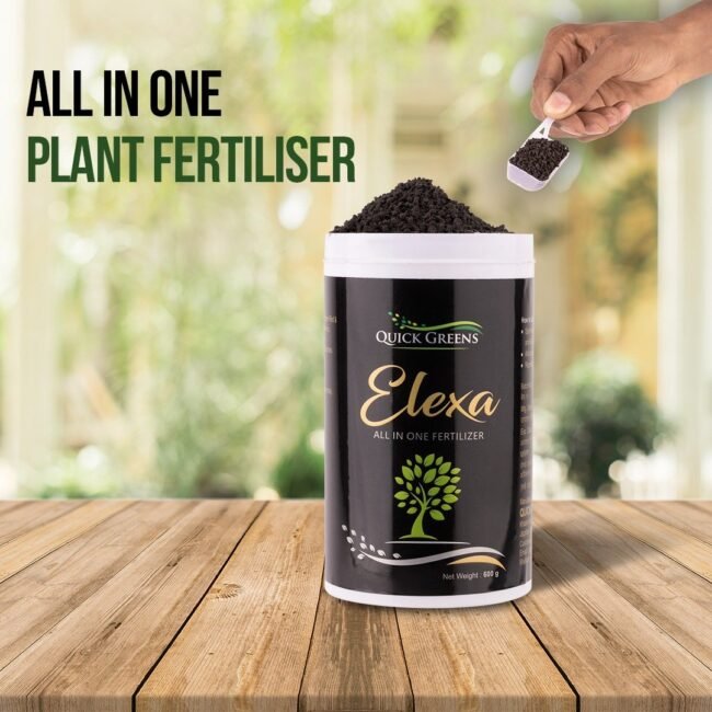 Elexa Seaweed Fertilizer Granules