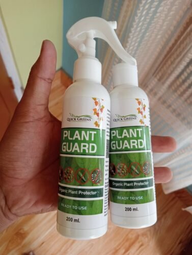 Neem Oil Spray photo review