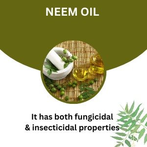 Neem Oil