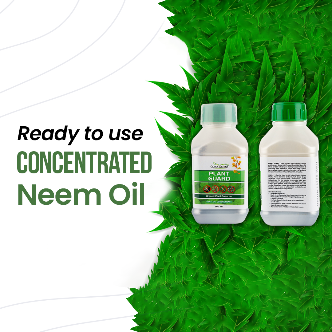 Neem Oil Concentrate