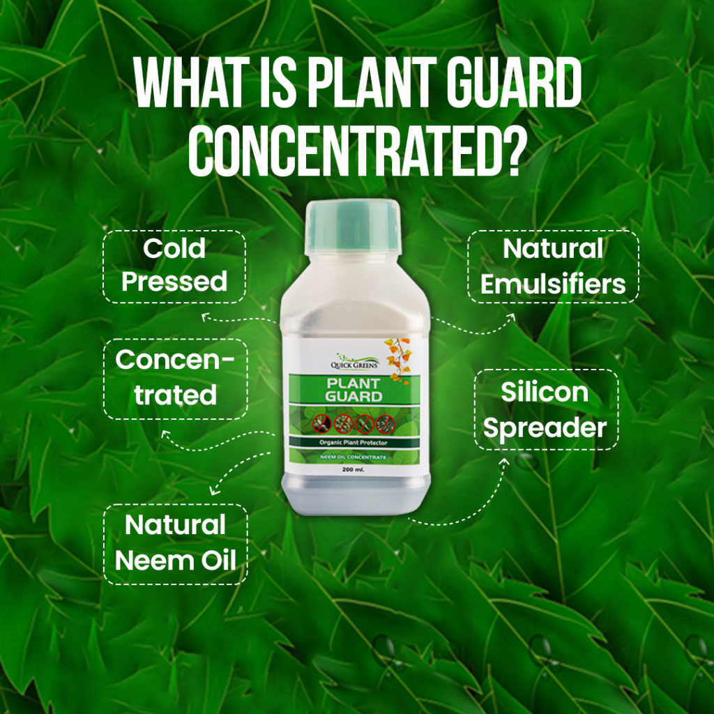 Neem Oil Concentrate