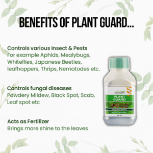 Neem Oil Concentrate