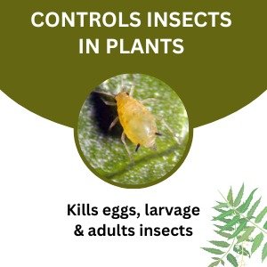 Neem Oil Insect Control