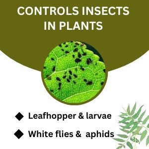 Neem Oil Controls Insects