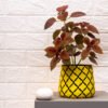 Radiant yellow with Shell print metallic planter