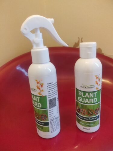 Neem Oil Spray photo review